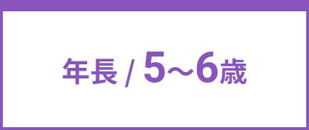 年長 / 5〜6歳