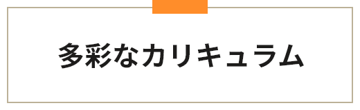 多彩なカリキュラム