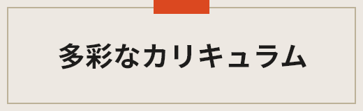 多彩なカリキュラム